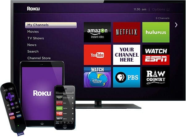 Prediction: Here’s Why Roku Will Be The Next Tech Darling